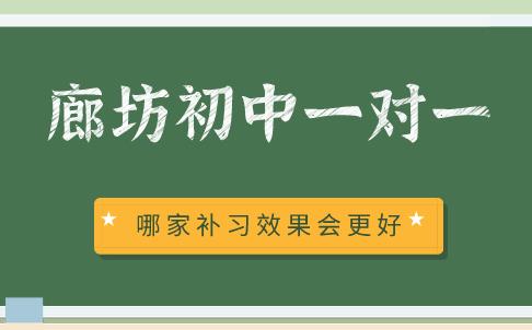 初中一对一补习班，廊坊哪家机构做的更好？