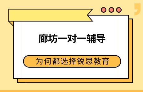 廊坊一对一辅导，为何都选择锐思教育？