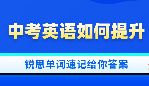 中考英语怎么才能快速提高？