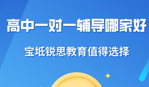 高中一对一辅导哪家好？宝坻锐思教育值得选择！