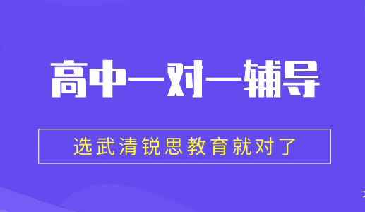 高中一对一辅导，选武清锐思教育就对了！