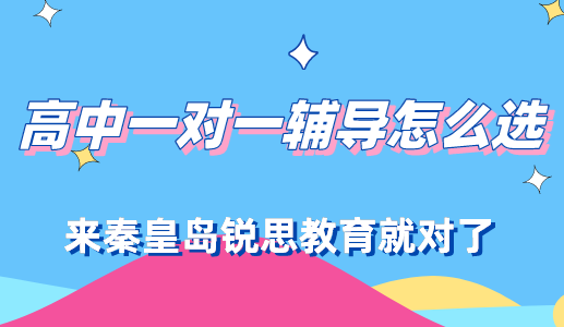 高中一对一辅导班怎么选？快来秦皇岛锐思教育！