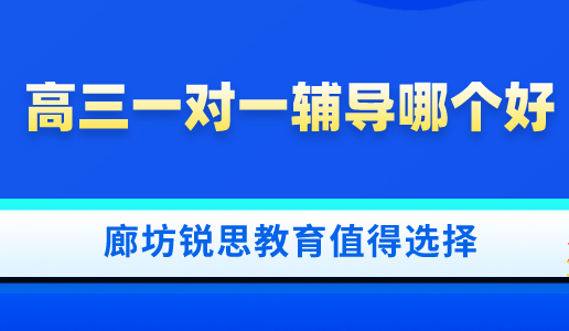 高三一对一辅导班哪个好？让廊坊锐思教育告诉你！