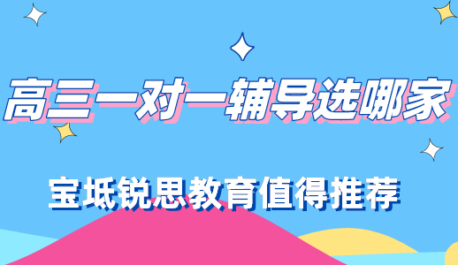 高三一对一辅导选哪家？宝坻锐思教育值得推荐！