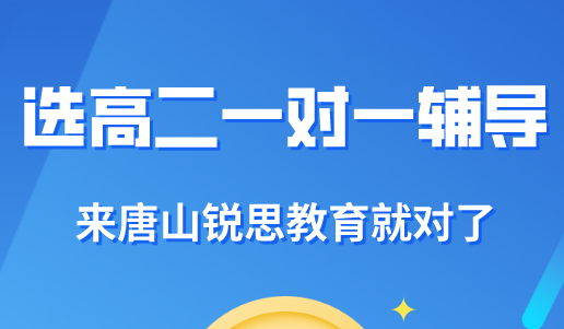 高二课外一对一辅导好处有哪些？唐山锐思教育为你解答！