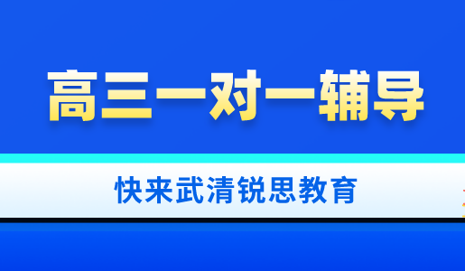 高三一对一补课效果究竟好不好？武清锐思教育为你解答