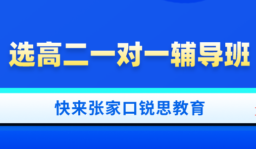 高二有必要参加一对一辅导班吗？张家口锐思教育为你解答