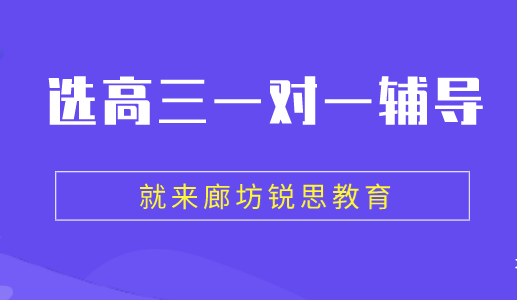 高三一对一辅导都有哪些好处呢？廊坊锐思教育为你解答