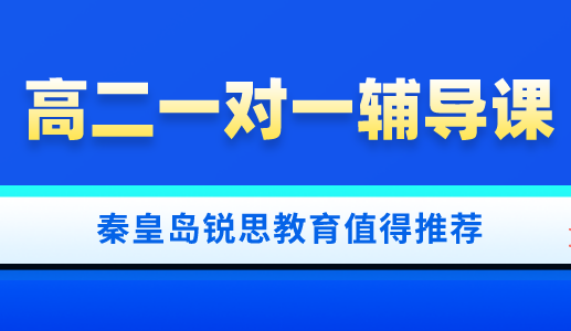 高二年级适合参加一对一辅导吗？让秦皇岛锐思教育告诉你