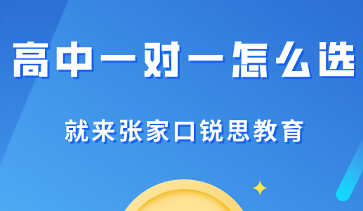 高中一对一辅导真的能达到预期的效果吗？张家口锐思教育给你答案