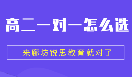 高二一对一辅导是否真的有用呢？让廊坊锐思教育告诉你