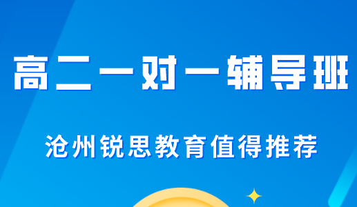 高二一对一辅导真的能实现提升吗？沧州锐思教育为你解答