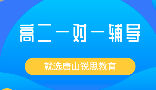 高二一对一补课的效果究竟如何？唐山锐思教育为你解答