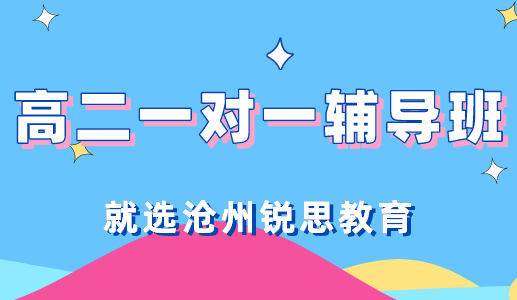 高二一对一辅导的好处都有哪些？沧州锐思教育为你解答