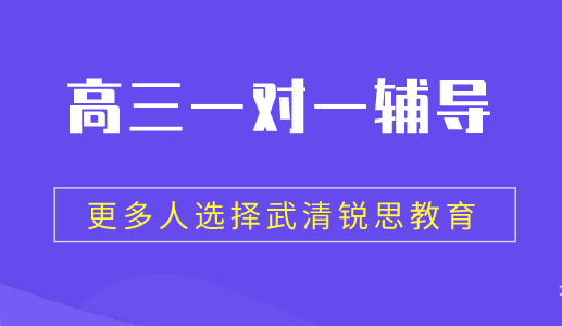 高三阶段是否一定要参加一对一辅导？武清锐思教育给你答案