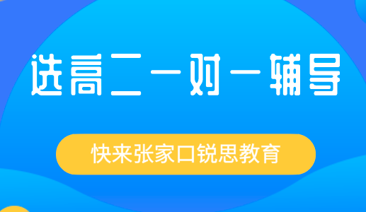 高二一对一辅导都能起到哪些作用？张家口锐思教育告诉你