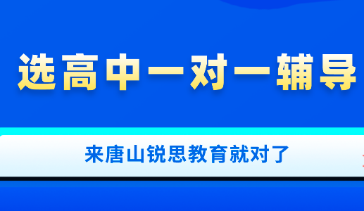 高中一对一补课真的能促进提升吗？唐山锐思教育给你答案