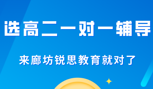 高二一对一辅导能够达到预期效果吗？让廊坊锐思教育告诉你(图1)