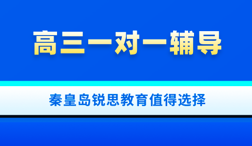 高中阶段真的需要参加一对一辅导吗？秦皇岛锐思教育为你解答