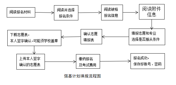 强基计划的报考流程是怎样的？(图1)