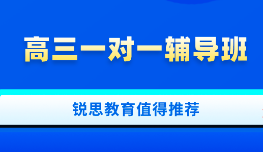 高三一对一辅导班，锐思教育值得推荐.png