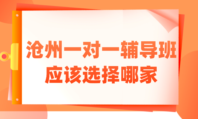 沧州一对一辅导班应该选择哪家