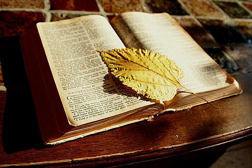 圣经, 圣经学习 圣经讨论, 读, 书, 书签, 信念, 基督教, 表