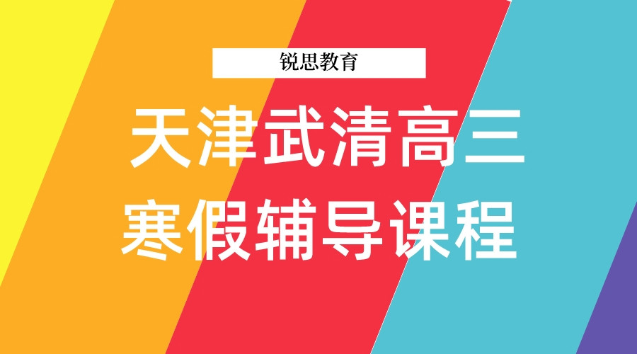 天津武清小东庄有高三寒假课程嘛？