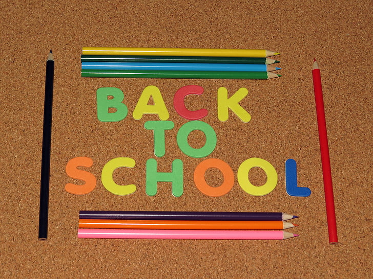 back to school, learning, school, colorful, pencil, back to school background, knowledge