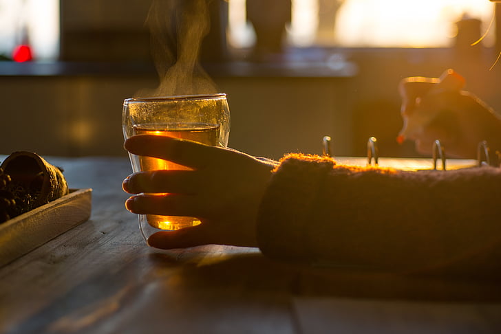 drinking, tea, studying, woman, home, drink, cup