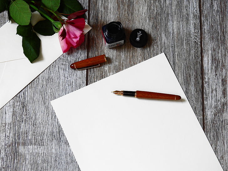 blank, bloom, blossom, composition, desk, document, flower