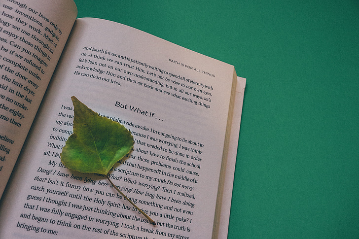 book, open book, leaf, mind, renew, black and white, paper