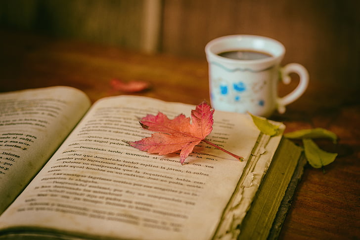 leaves, books, color, coffee, cup, still life, book