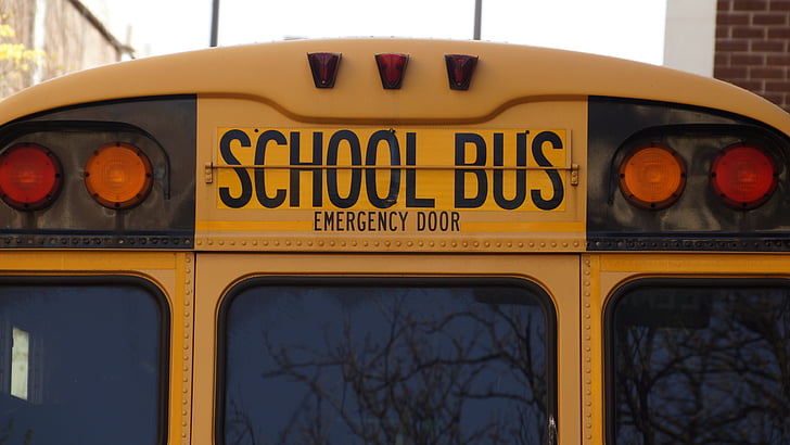 back, bus, education, school, school bus, usa, vehicle