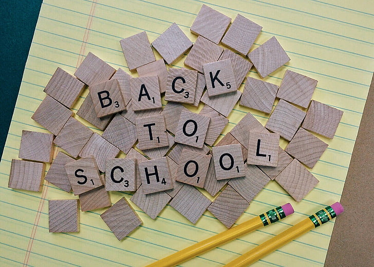 back to school, school, education, pencil, learn