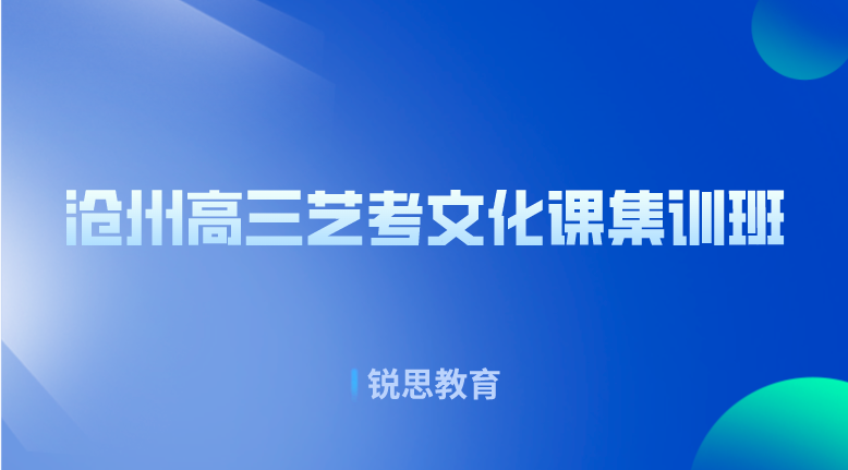 沧州高三艺考文化课集训班哪家好