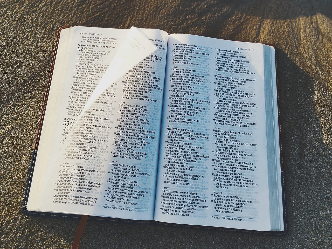圣经, 读取, 为了学习, 诗篇, 智慧, 神圣的话语, 谚语, 打开圣经