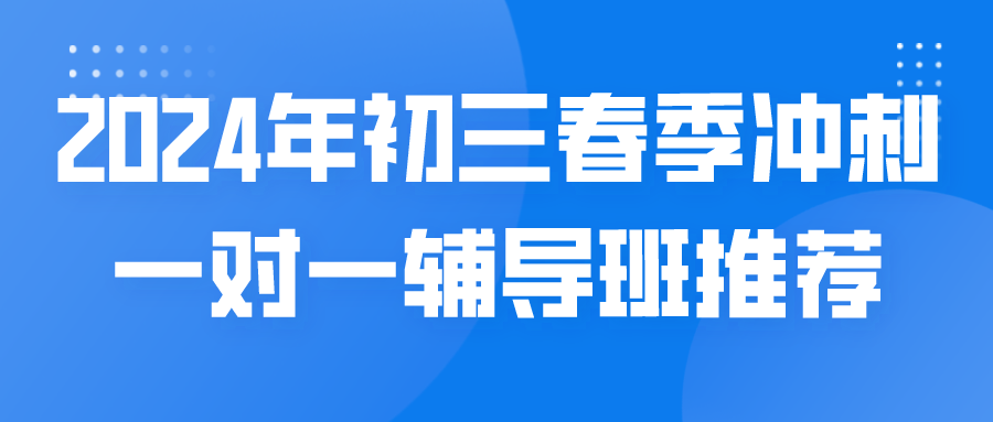 2024年初三春季冲刺一对一辅导班推荐.png