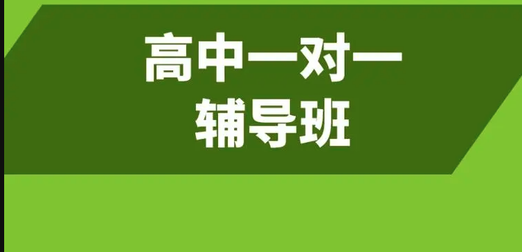 高中各年级1对1辅导