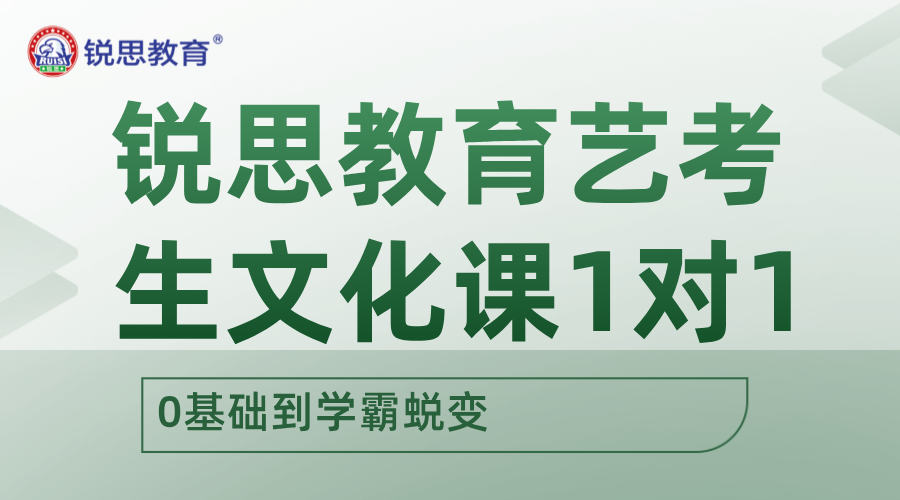 ‌天津、河北、北京锐思教育艺考生文化课1对1