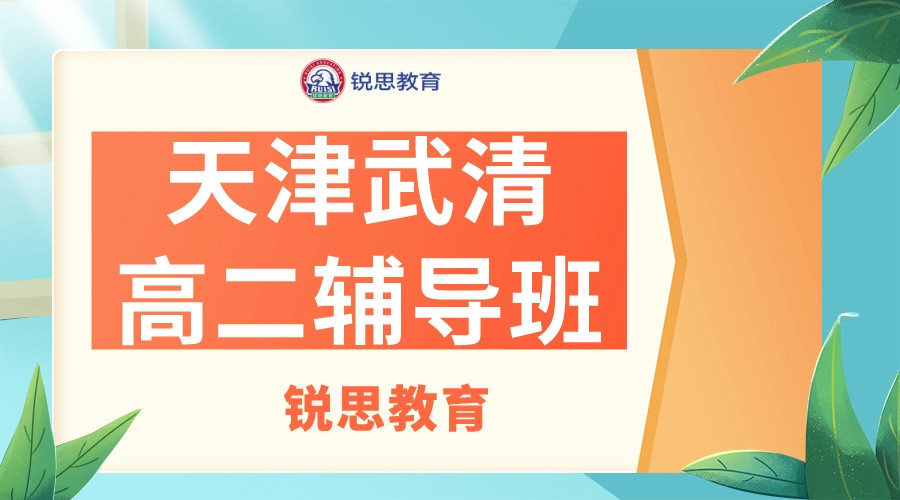 天津武清锐思教育八中高二全科培训机构_高二一对一补习