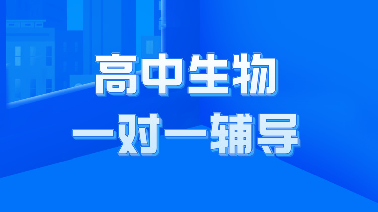 2024年杭州高中生物一对一补课价格？补习班推荐！