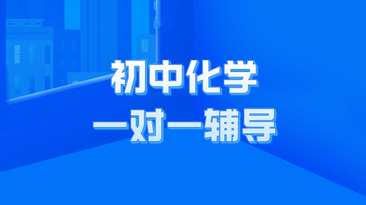 2024年杭州初中化学一对一辅导多少钱一小时？