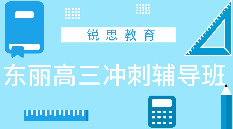 天津锐思教育东丽广场高三冲刺补习班_高三化学一对一辅导