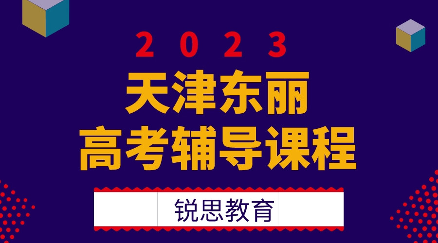 天津锐思教育东丽广场高考一对一冲刺_高考语文一对一培训