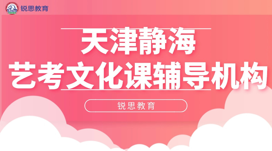 天津锐思教育静海实验高三艺考生文化课辅导_艺考文化课集训营