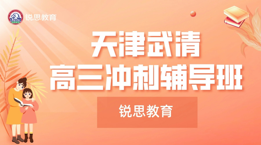 天津武清锐思教育龙湾城高三冲刺集训班_高三化学一对一补习