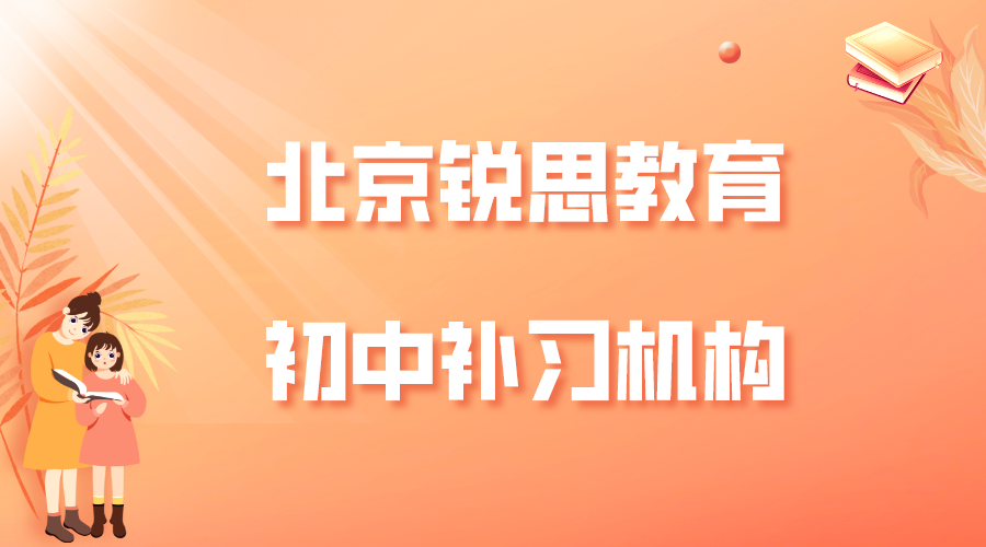 北京锐思教育教育昌平初中文化课辅导班_初中物理一对一补习