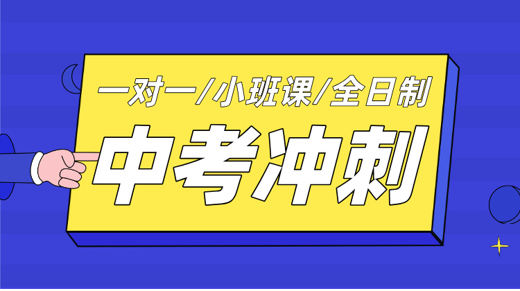 丽水初三中考冲刺辅导班！1V1定制个性化提分方案，名师教学督导！