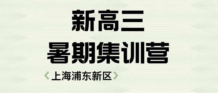 2025年上海浦东新区准高三暑假班，一对一个性化辅导！潍坊新村/陆家嘴/周家渡/塘桥/上纲新村/南码头路/洋泾/沪东新村